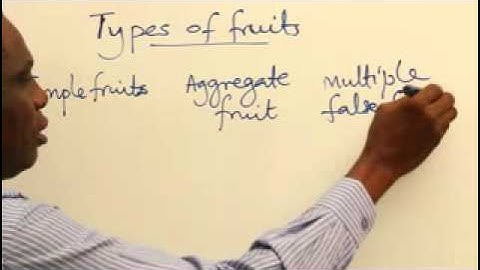 TYPES OF FRUITS PART 1