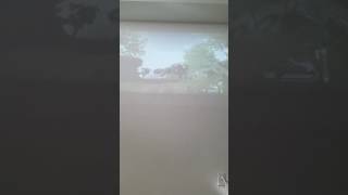mx vs atv alive