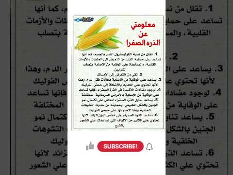 معلومات عن فوائد الذرة الصفراء الذرة غذاء صحي رجيم صحي