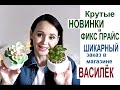 НОВИНКИ Фикс прайс /КРУТОЙ Заказ в магазине #ВАСИЛЕК