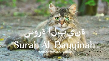 سورة البينة - Surah Al-Bayyinah (The Clear Evidence) by Mishary Rashid Alafasy #palestine