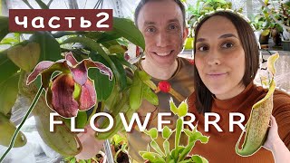 Часть2/Магазин хищных растений Flowerrr/Обзор растений и много полезных советов!