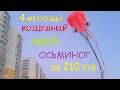 4-х метровый воздушный змей осьминог с алиэкспресс за 210 рублей