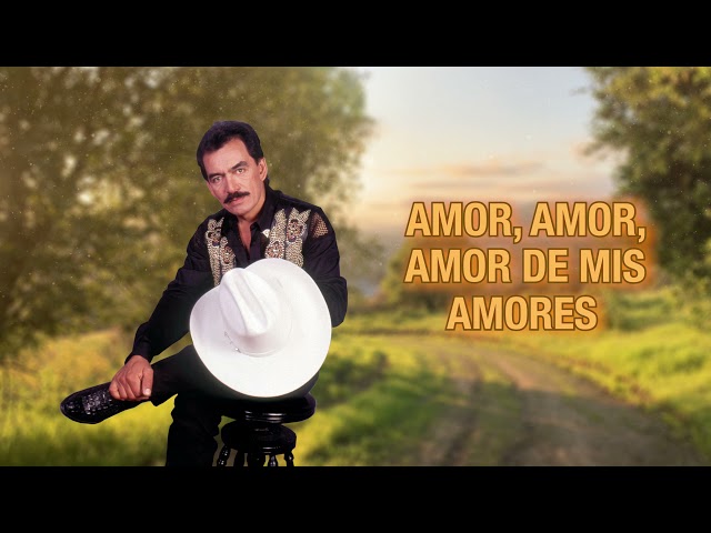 Joan Sebastian - Llegaste A Tiempo