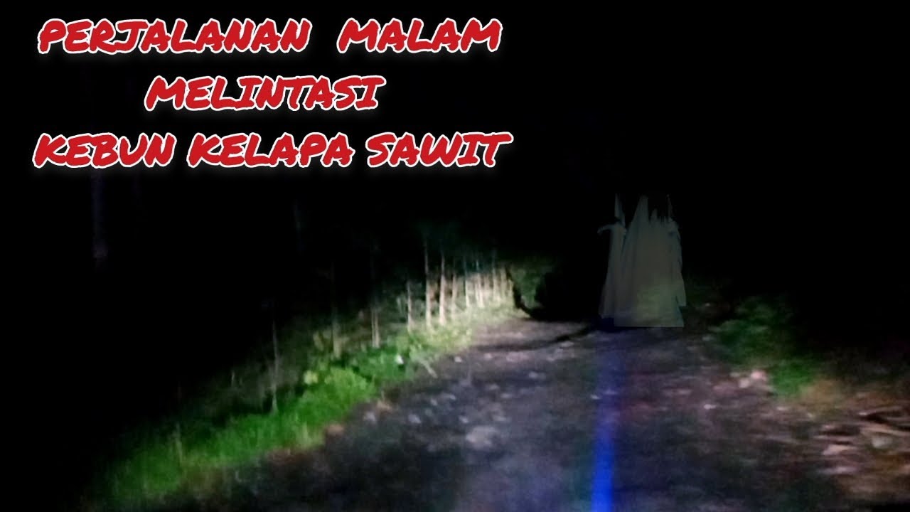 PERJALANAN MALAM DI PEDESAAN MELINTASI KEBUN KELAPA SAWIT