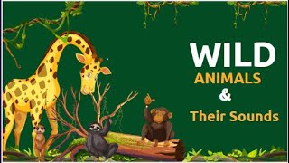 Animal names and sounds for kids to learn | Learning Wild & Domestic Animals for children@KiddosSay