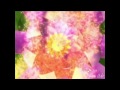 Sophix Stella Full HD 