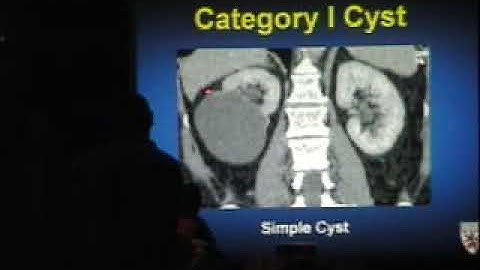 Kidney Adrenal Silverman Good for Practice