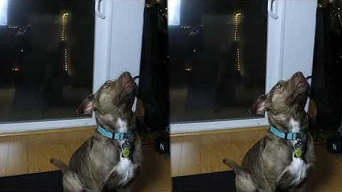 Deflicker Example using Flicker Free