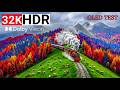 OMG 😮 OLED HDR™ Test 32K Video | Dolby Vision 8K HDR 240FPS (8K/4K Video TV)
