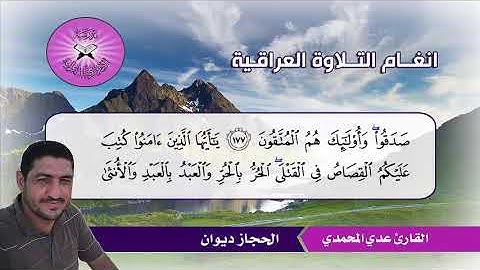 الحجاز ديوان -  القارئ عدي المحمدي  - سورة البقرة
