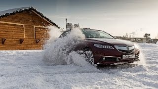 видео: Бородатая Езда. Acura TLX картинка: Бородатая Езда. Acura TLX