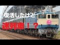 【迷列車で行こう】第七話:特別なトワイライトエクスプレス