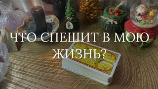 Что спешит в мою жизнь? 🔔 Общий расклад Таро