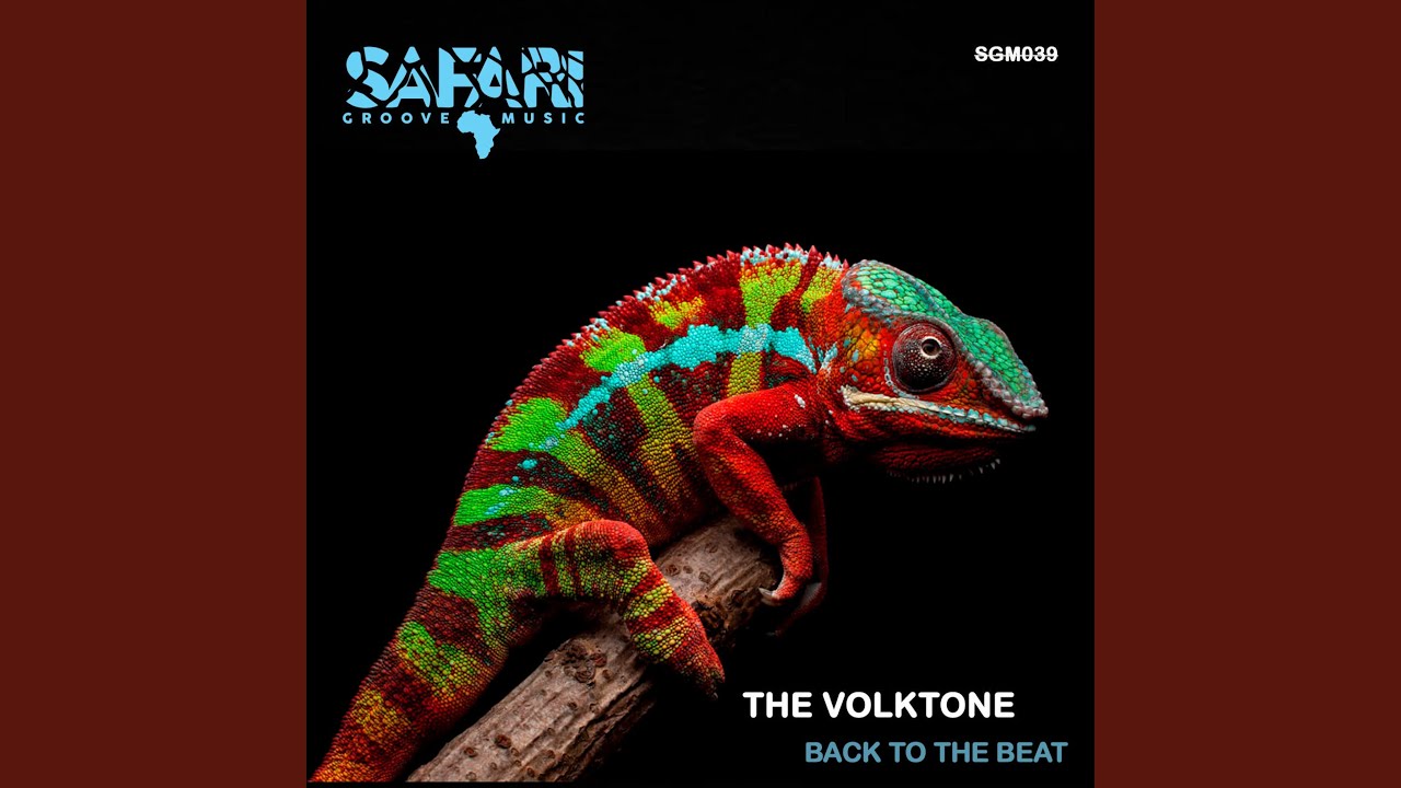 safari groove music