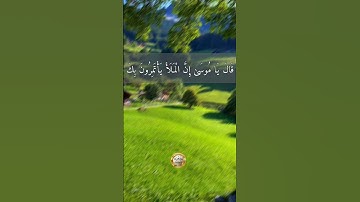و جاء رجل من أقصى المدينة يسعى / قرآن كريم / سبحان الله #quran #قرآن #قرآن