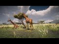 Africa Savannah - 3D Scene