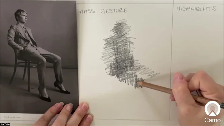 Shape Studies