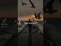 قراميط قراميط قراميط