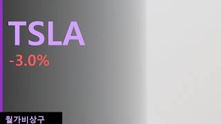 [TSLA] 중국이 막은 날 테슬라가 걸린 구조 | 월가비상구