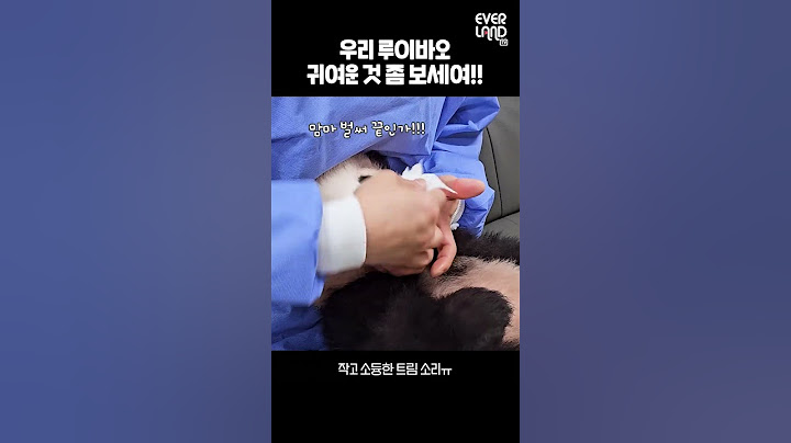 분유먹고 트림하는 아기판다 루이바오.gif│#Panda #Babypanda