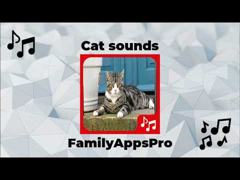 Cats sounds - Apps on Google Play