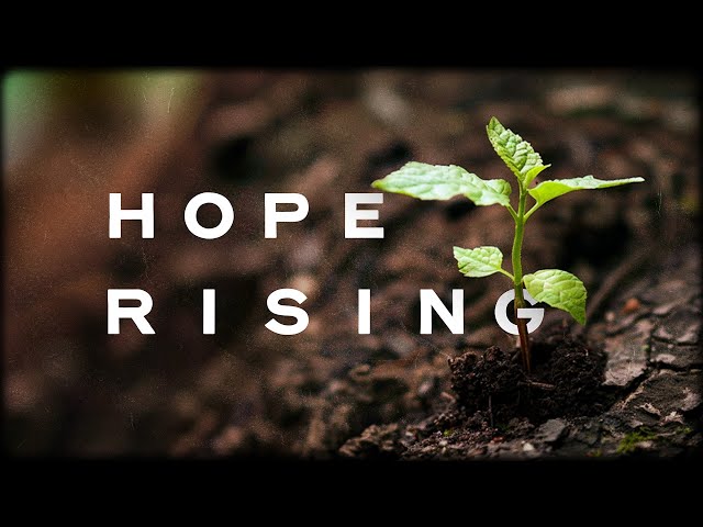 Hope Rising class=