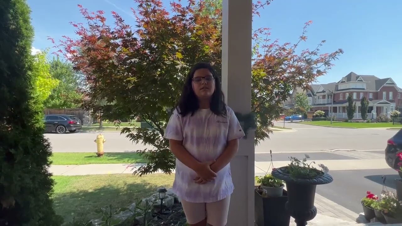 DIana Sings Billie Ilish no music