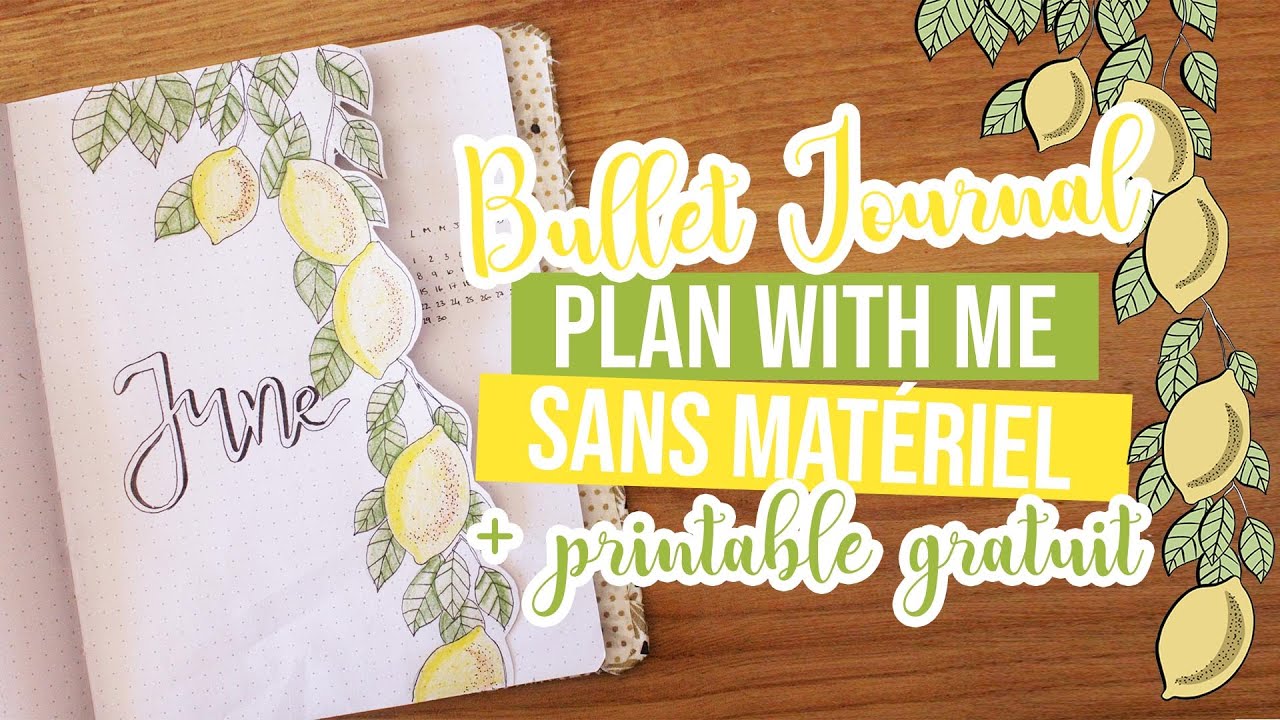 PLAN WITH ME JUIN | Faire un bullet journal sans matériel (+ printable gratuit)