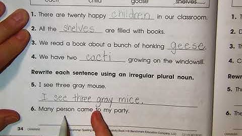 Benchmark Unit 5, week 3 grammar