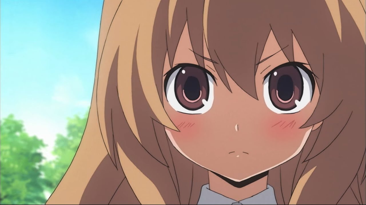 Toradora Anime Review – SilvaDour's Domain