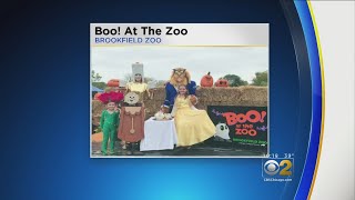 Boo! At The Zoo