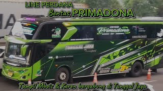 Tdanil Mbois  Gagahline Perdana Tunggal Jaya Bentas Primadona 