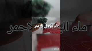 علاج رهيب و التخلص نهائيا من القمل