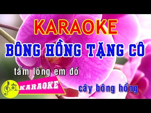 Bông Hồng Tặng Cô Karaoke || Beat Chuẩn - Karaoke Nhạc Thiếu Nhi | Foci