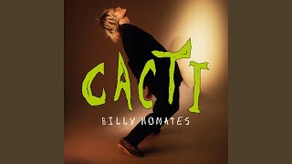 Video thumbnail of "Billy Nomates - fawner"