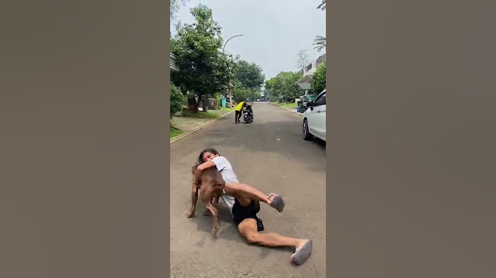 MUSSO ANJING TERKUAT DIMUKA BUMI ‼️