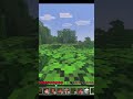 Minecraft-Autistic Moment
