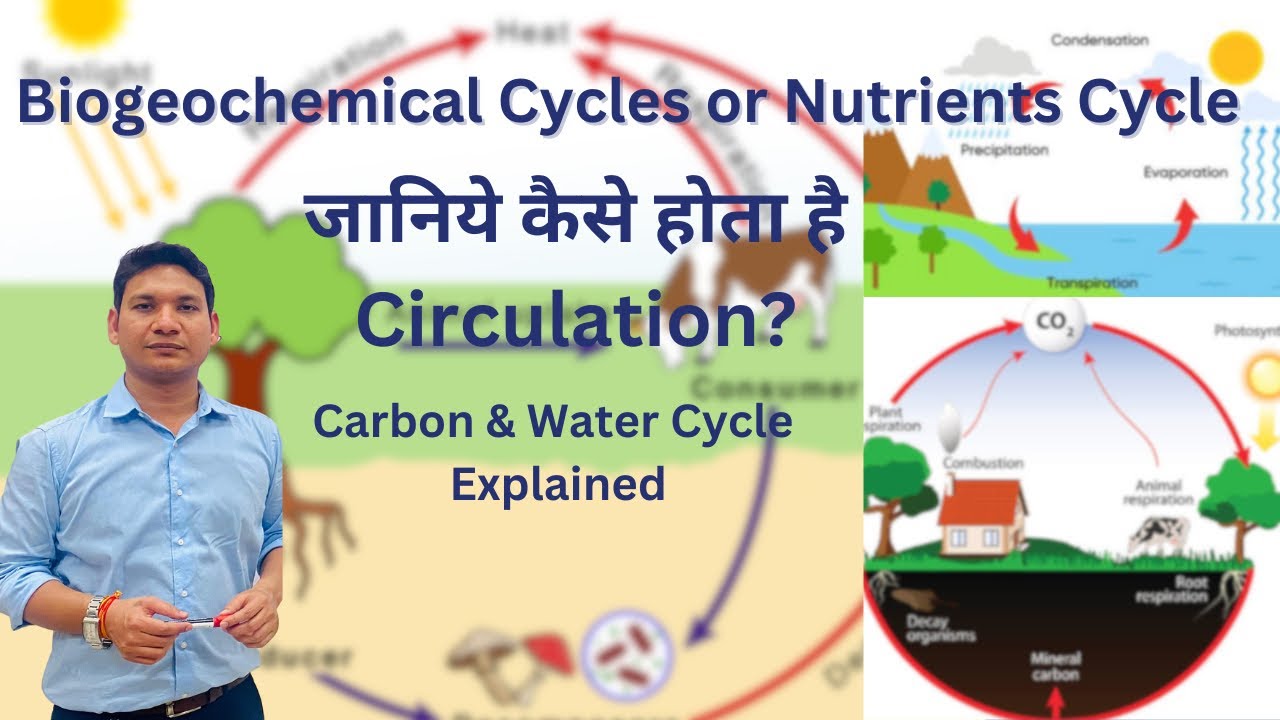 Biogeochemical Cycles in Ecosystem Part-I I Carbon Cycle I Water Cycle ...