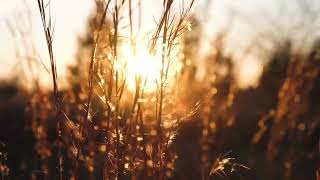 Threetwenty - Been on a journey