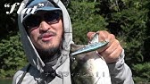 Tailwalk Campy とにかくeasy 誰でもすぐに使えるキャンピー Youtube