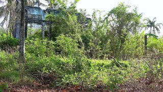 Mrs. Nga Found The House Buried For 35 Years, Overgrown With Grass - Eye-catching Transformation