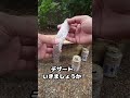 カンパチとは
