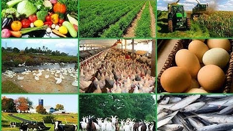 INTRODUCTION TO GENERAL AGRICULTURE