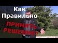 Как Правильно Принимать Решения?