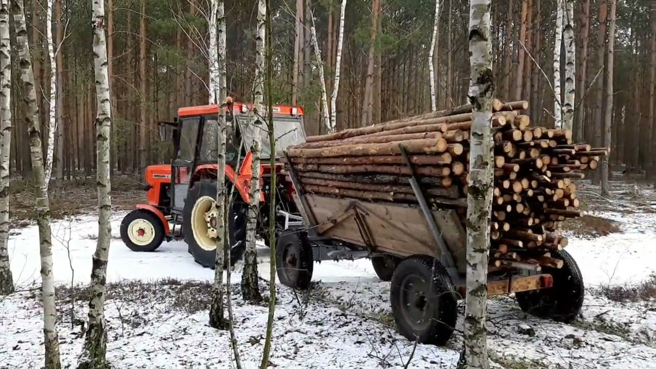 Wywóz Drzewa z Lasu 😀U-R-S-U-S 4011✌
