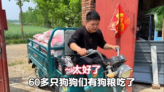 為了渡過困難時期無奈將車抵押，給毛孩子們交醫藥費和購買狗糧