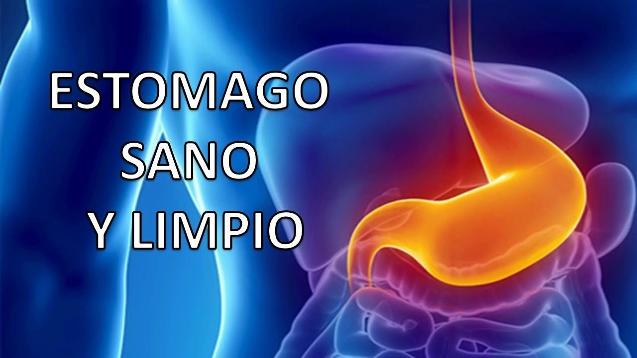 ¿Cómo tener un estómago Sano? YouTube