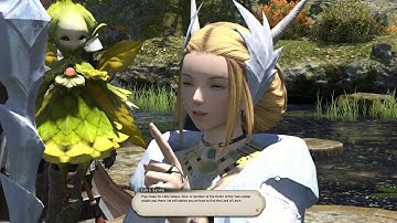 FFXIV ARR : Lv50 Lord of Levin - Walkthrough