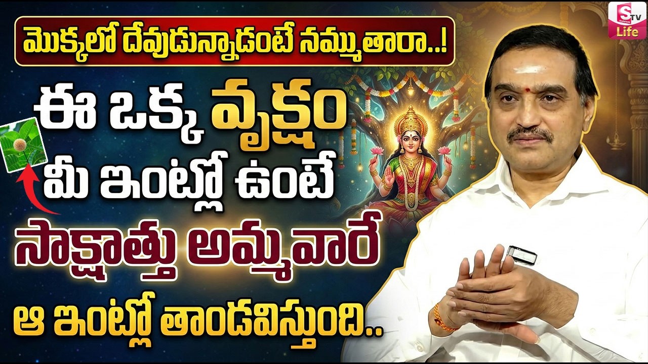 లక్ష్మిదేవికి ఎంతో ఇష్టమైన కదంబ పుష్పం.. | Unknown Facts Abt Kadamba Vruksham | SumanTV Padmini